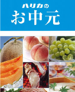 写真4